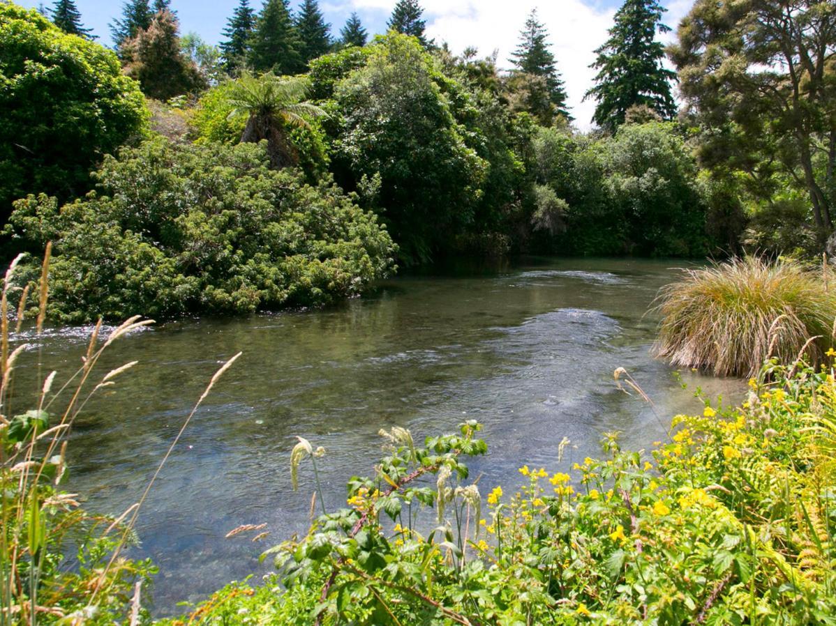 Bellbird Cottage - Lake Taupo Bach Waitahanui Exteriör bild